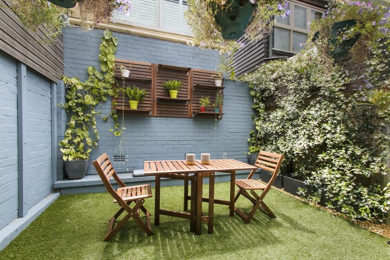 patio decoracion arboles